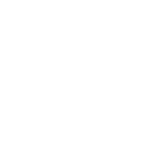 Fore Fun logo